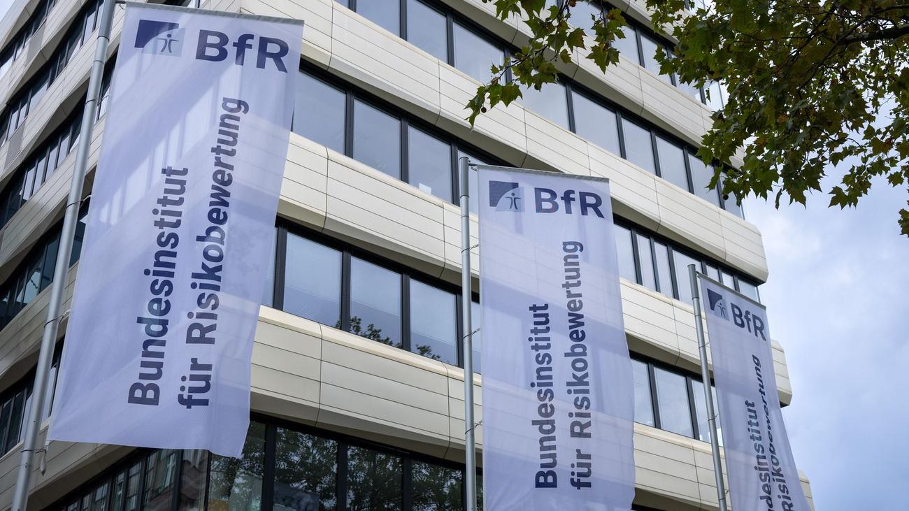 Kindergesundheit: Bundesinstitut warnt vor Schimmelpilzgift in Mandeldrinks