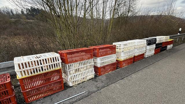 Unfälle: Hühner entkommen nach Unfall auf Autobahn