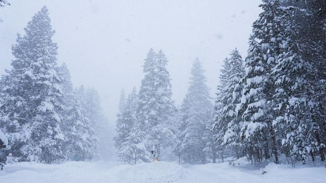 Unfälle: Sheriff: Acht Skifahrer nach Lawine in Kalifornien tot