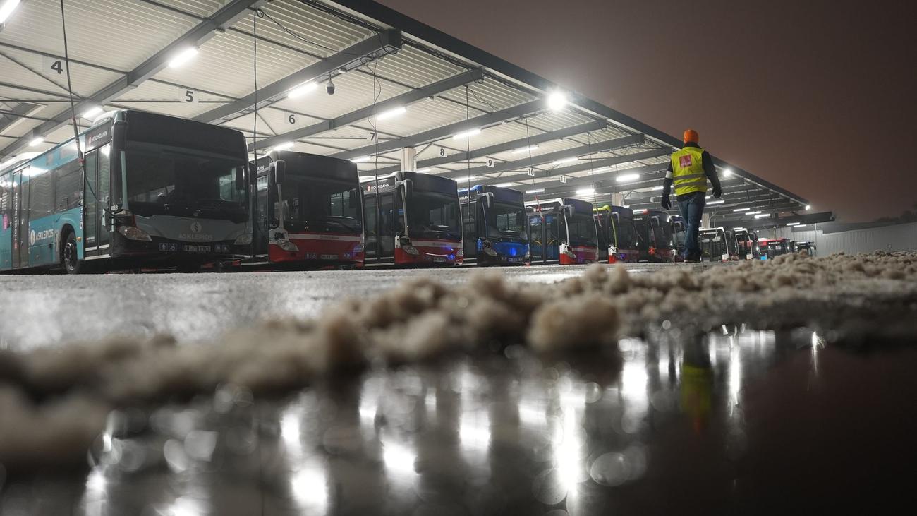 Tarife: Warnstreik legt Buslinien in Hamburg erneut lahm