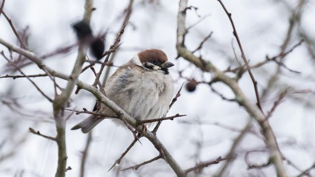 Wetterbericht: Wo im Südwesten Schneefall und Glatteis zu erwarten sind
