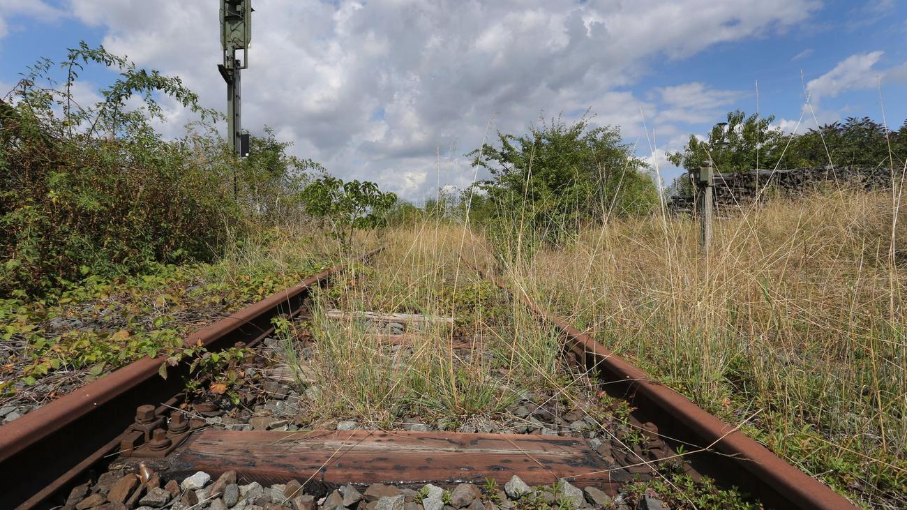 Infrastruktur: "Saftbahn" bei Bitterfeld könnte reaktiviert werden