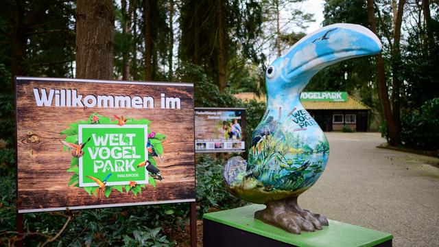 Tierseuche: Vogelgrippe im Vogelpark Walsrode nachgewiesen