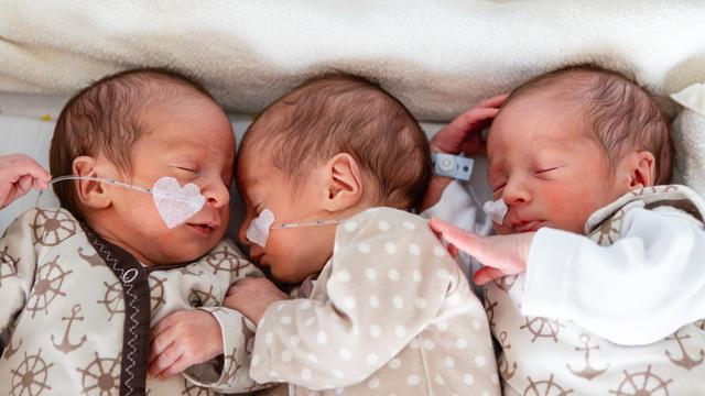 Mehrlingsgeburt: Eineiige Drillinge in Bamberg geboren