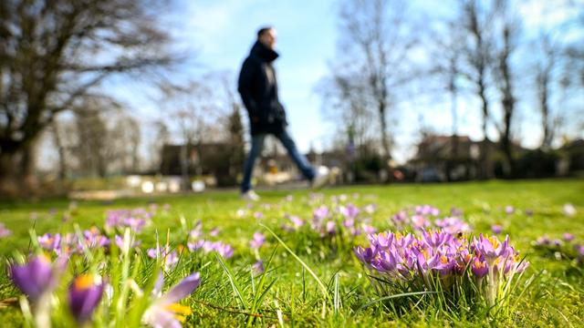 Wetter: Frühlingshafte Temperaturen erwartet