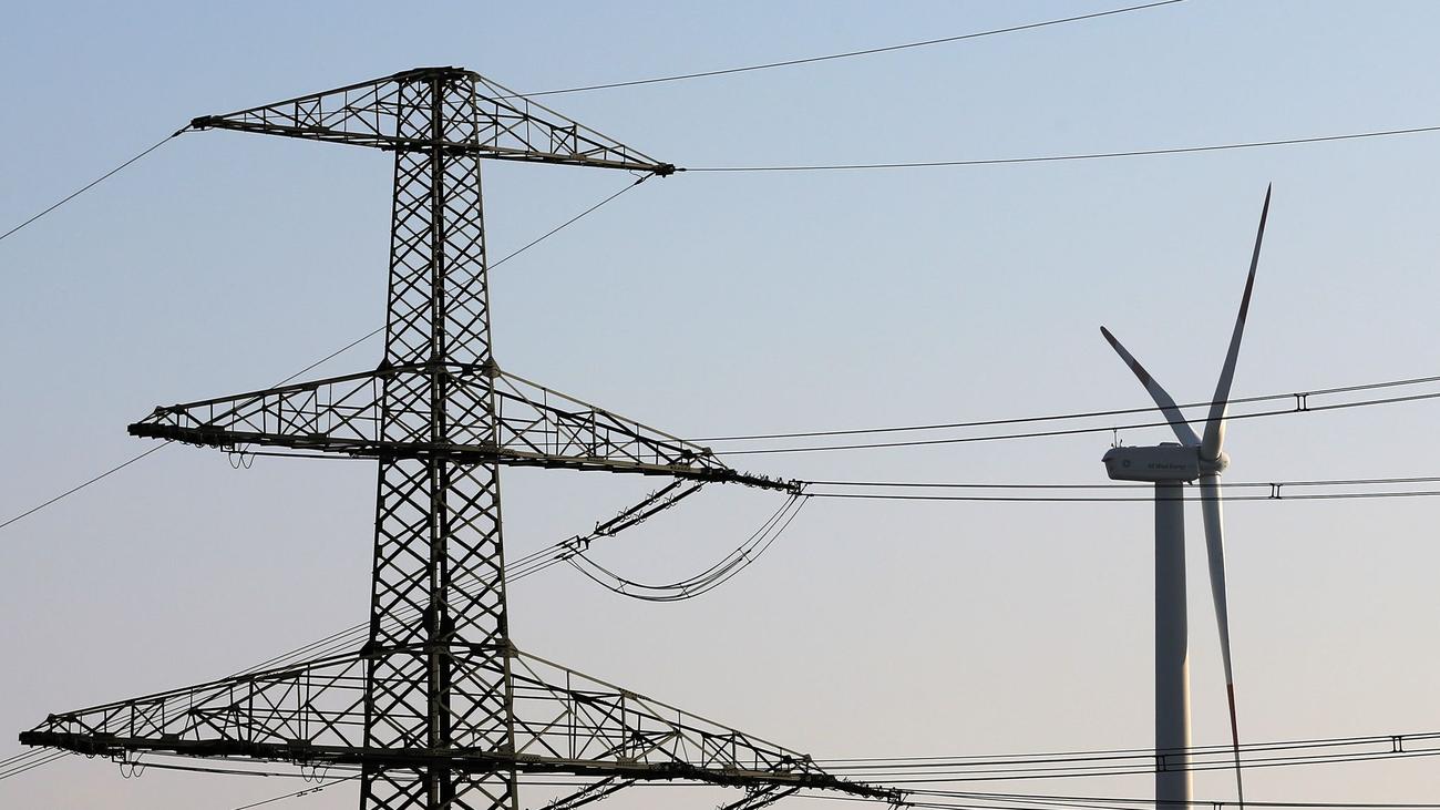 Erneuerbare Energien: Hamburger Energieunternehmen gegen Reiches Netzpaket