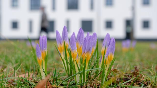 Wetter: Regen entspannt Lawinenlage – Sonne kehrt zurück