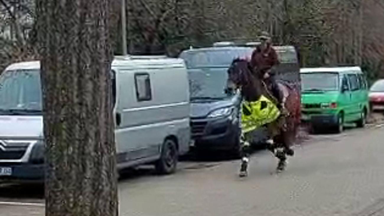 Freiburg: Reitlehrerin auf Pferd sorgt für ungewöhnliches Blitzerfoto