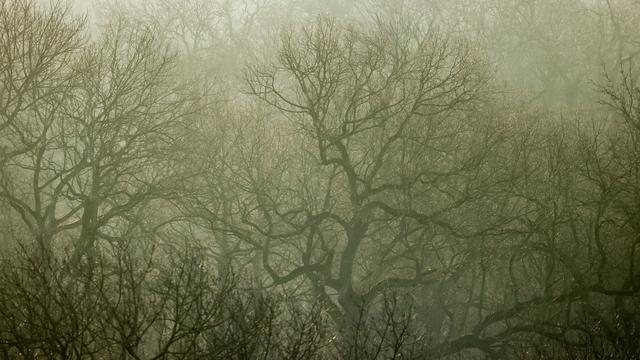 Naturschutz: Verbände fordern Erhalt der biologischen Vielfalt in Leipzig
