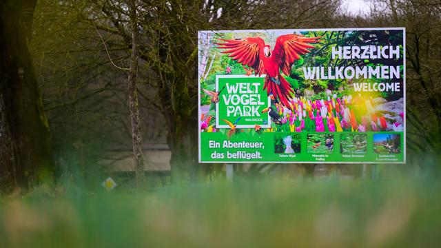 Tierseuche: Vogelgrippe im Weltvogelpark - Wie geht es weiter?