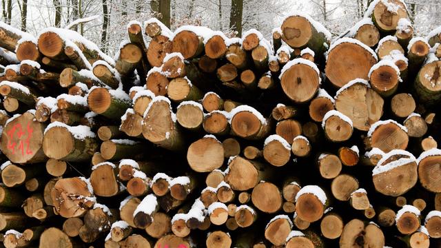 Krise im Maschinenbau: Weinig streicht 400 Jobs – Produktion zieht um