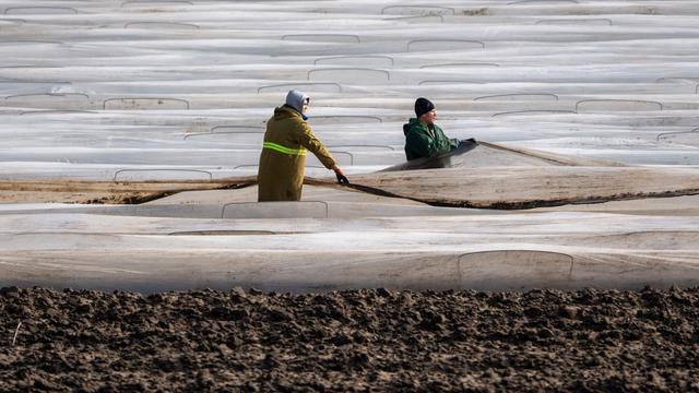Bundesparteitag: CDU fordert Mindestlohn-Ausnahmen für Saisonkräfte