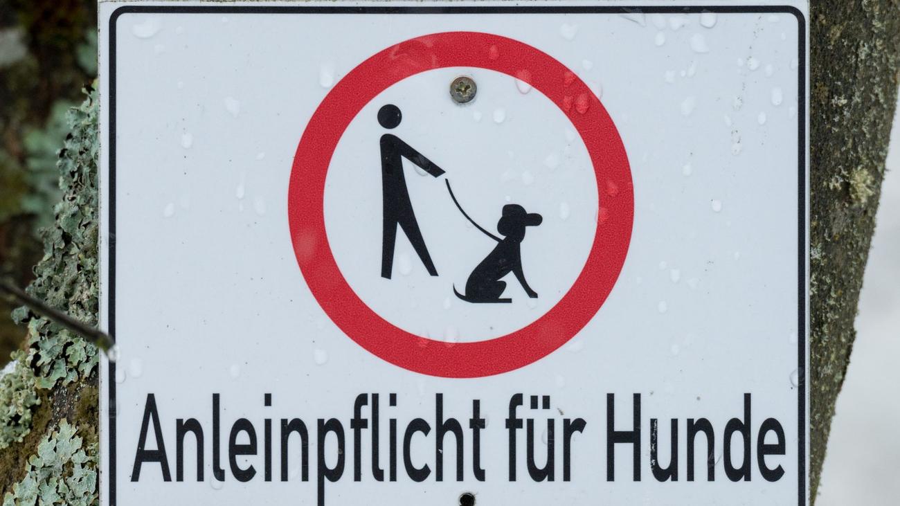 Polizeieinsatz: Hundehalter geraten aneinander