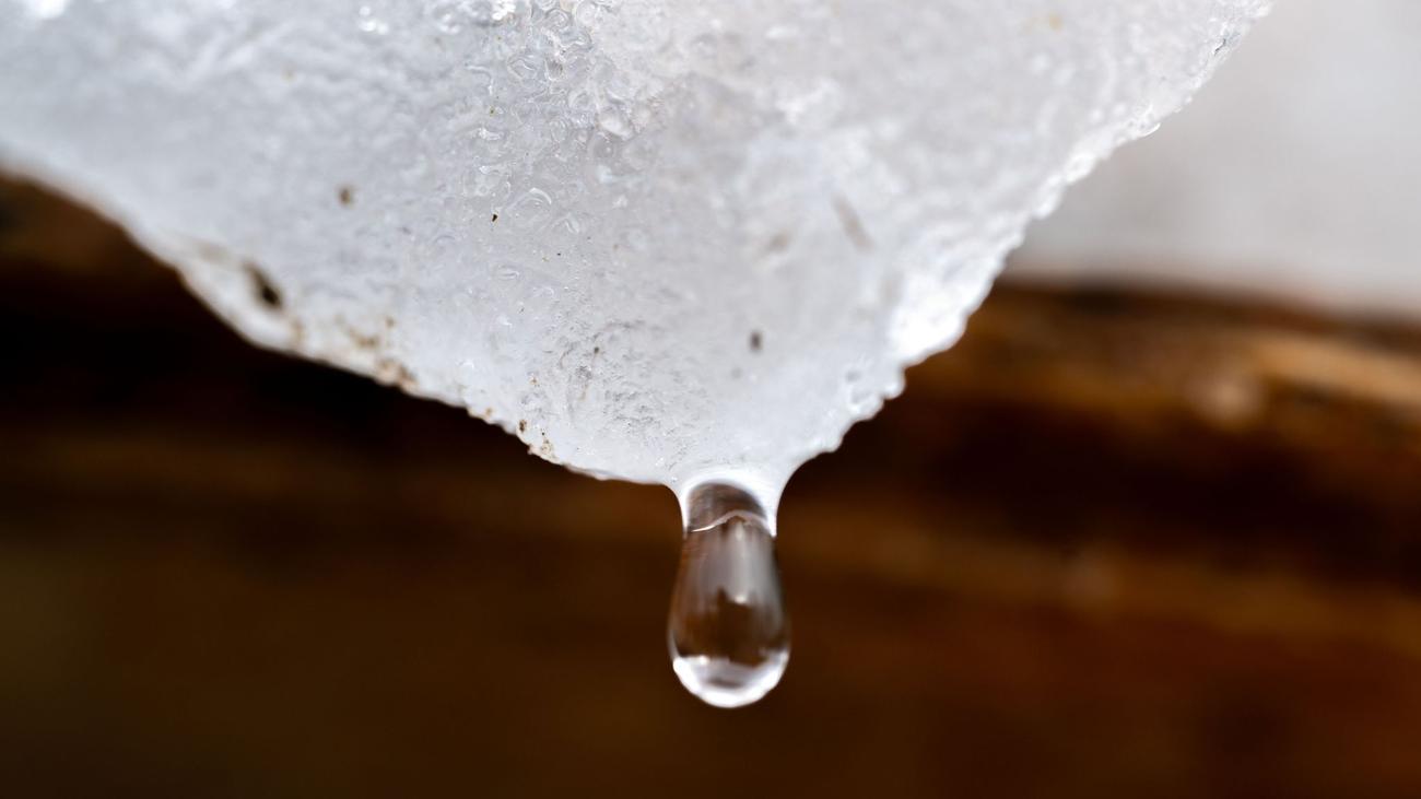 Wetter in Bayern: Nach Wind und Regen Chance auf Frühlingsgefühle
