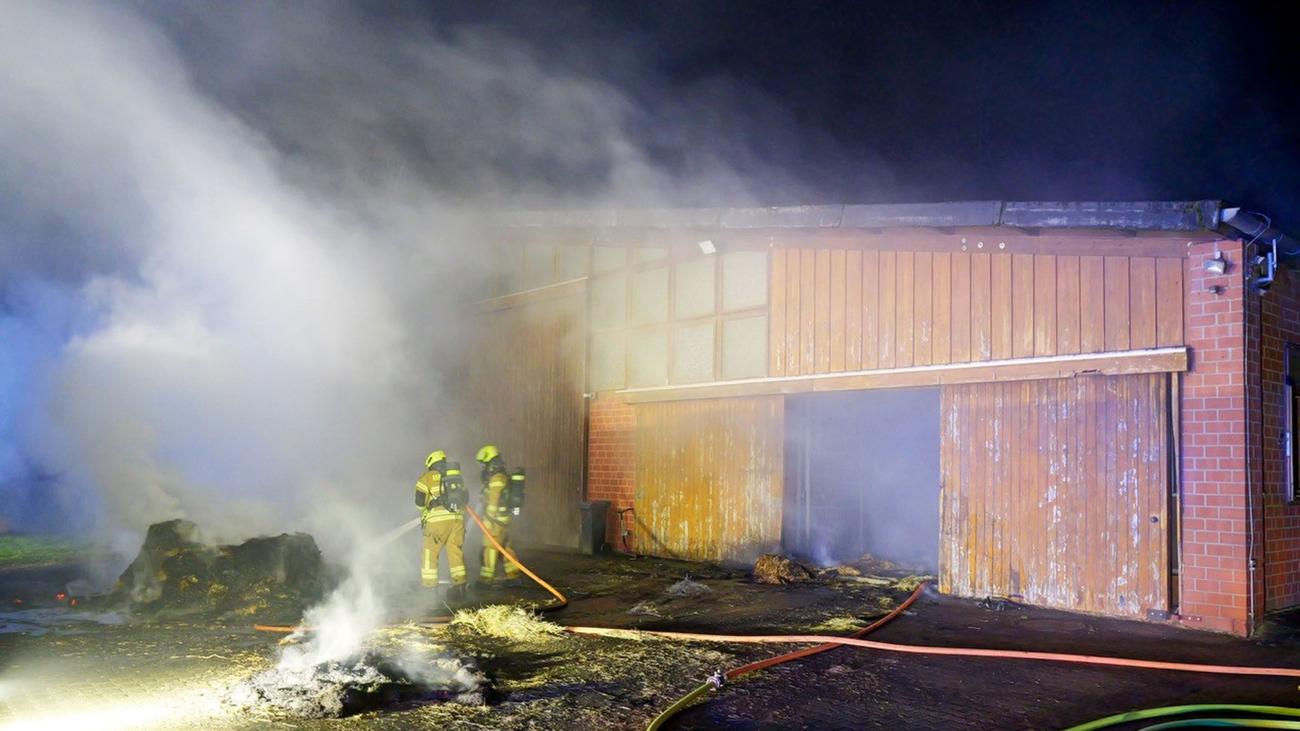 Brände: Pferdestall in Flammen – zwei Verletzte in Paderborn
