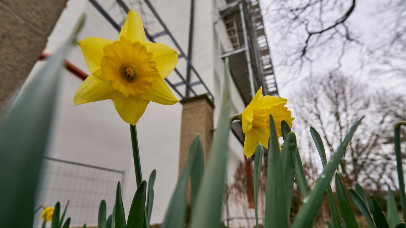 Wetter: "Ungewöhnlich mild" – Temperaturen bis zu 18 Grad möglich