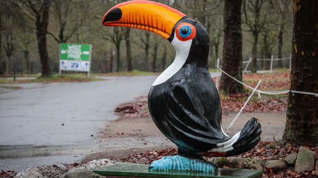 Tierseuche in Niedersachsen: 80 Tiere im Vogelpark Walsrode wegen Vogelgrippe getötet