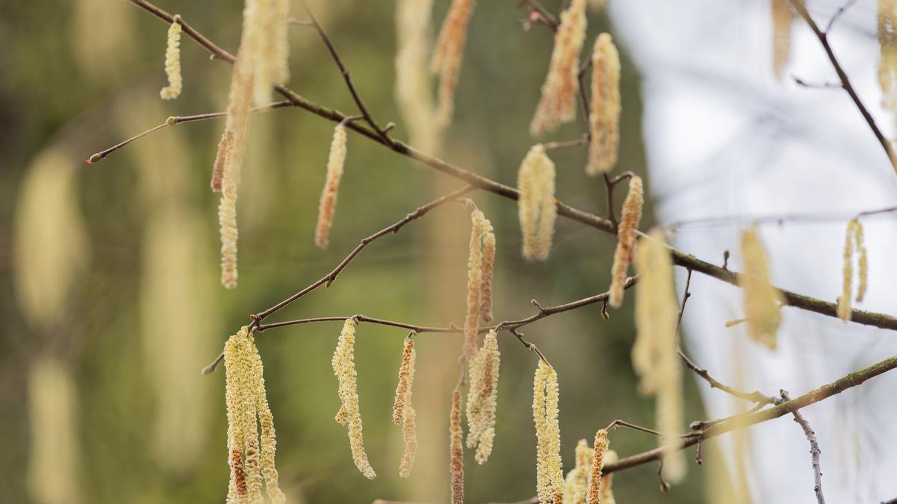 Wettervorhersage: Bis zu 19 Grad - NRW erwartet frühlingshaftes Wetter
