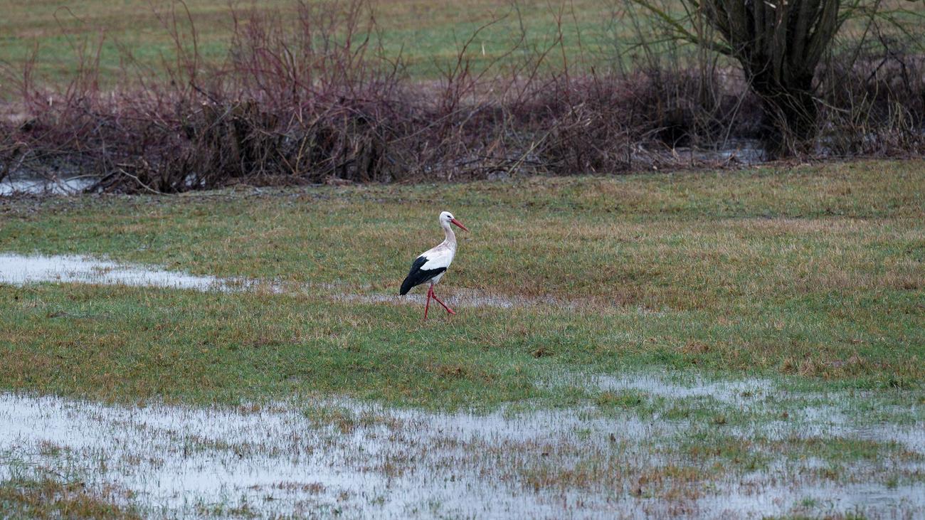 Wetter: Der Frühling naht in Bayern