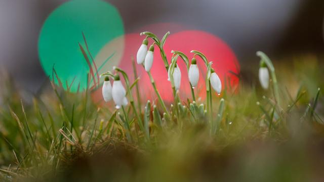 DWD-Prognose: Erst Regen, dann Sonne: Der Frühling schaut vorbei