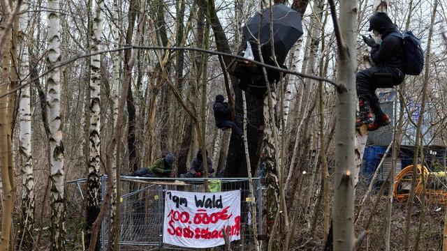 Nach Protesten: Gericht untersagt vorerst Fällungen im 