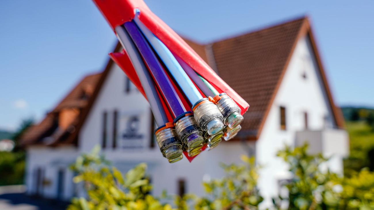 Kriminalität: Vandalismus an Glasfaserkabeln: Hunderttausende Euro Schaden