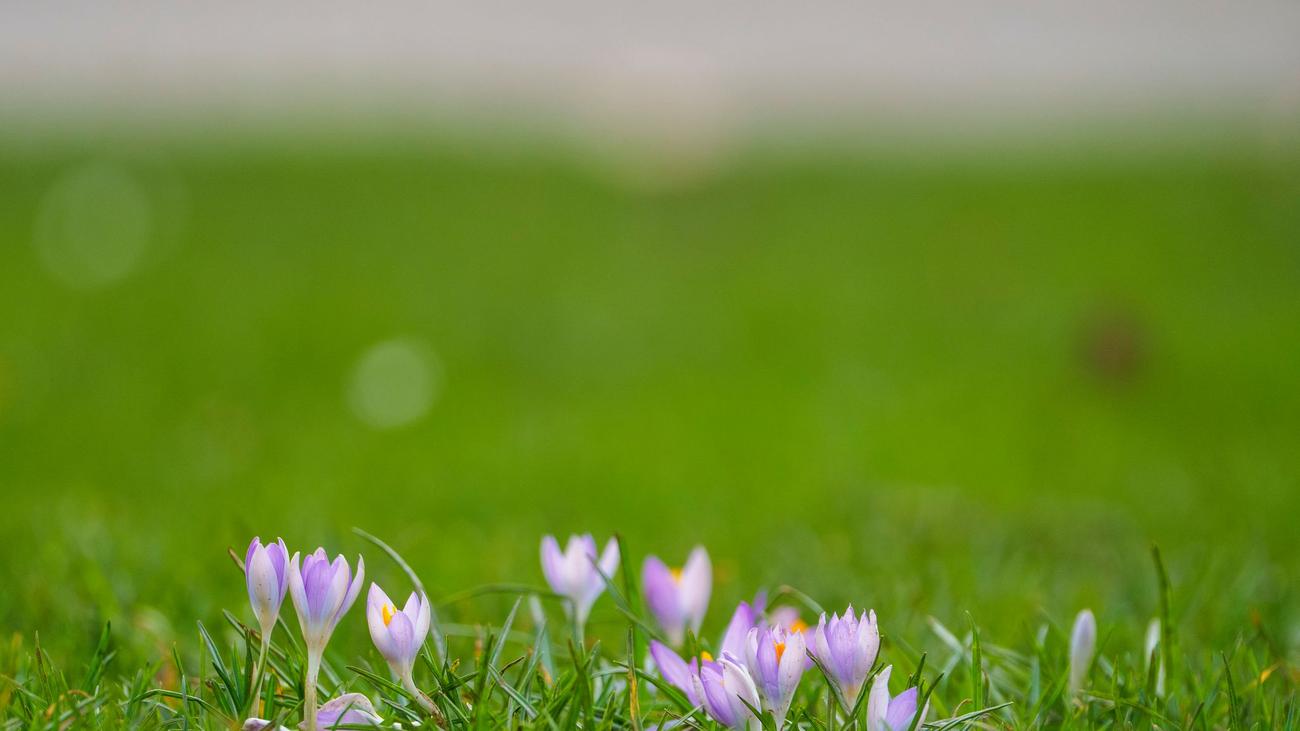Wetter: Wetterdienst erwartet milde Tage