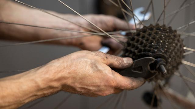 Förderung: Backwerkstatt und Repair-Café: Land fördert Mikroprojekte