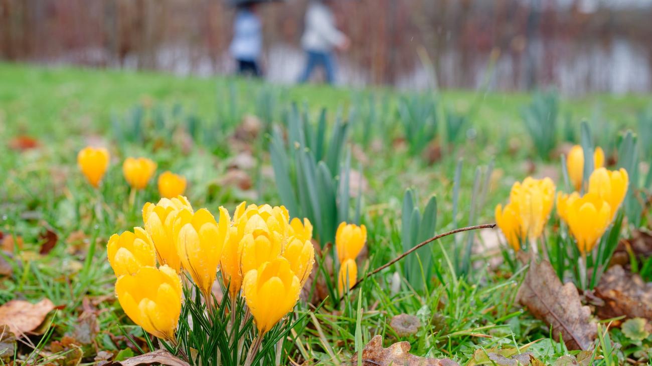 Wetter: Erste Frühlingsgefühle bei 13 bis 19 Grad