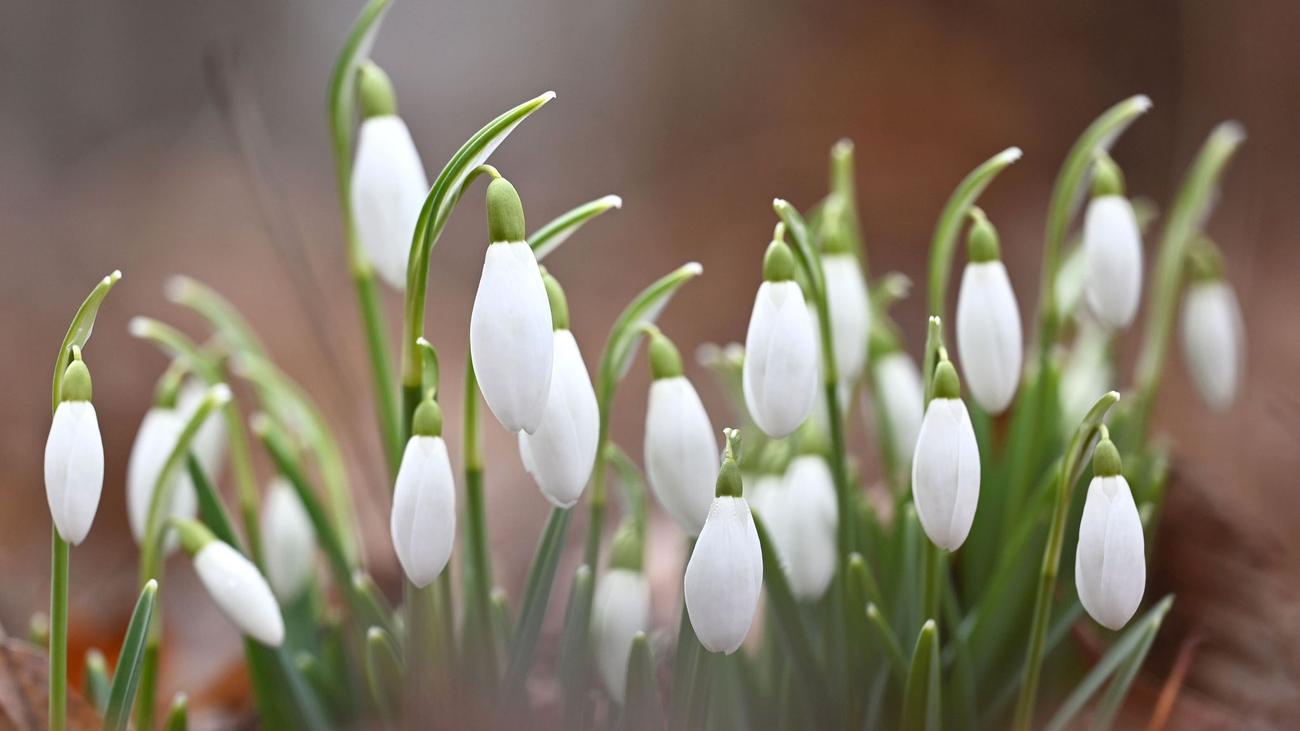 Wettervorhersage: Nebel hält sich hartnäckig – Sonne nur in höheren Lagen