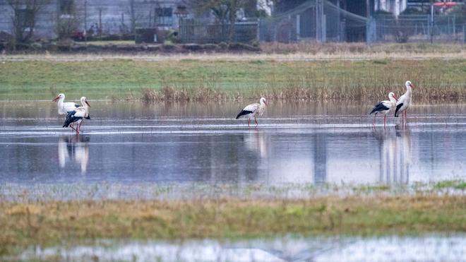 Wettervorhersage: Die Temperaturen in Bayern steigen weiter an. (Symbolbild)