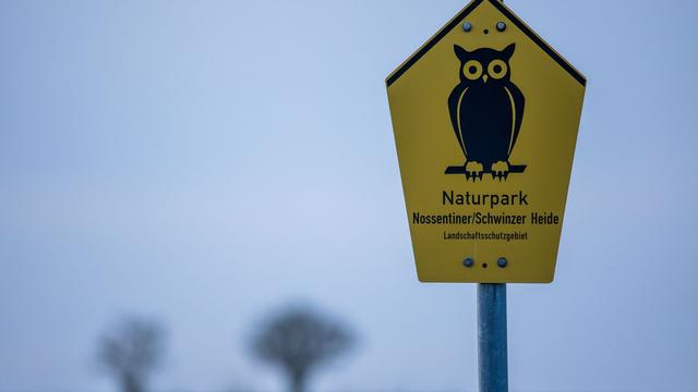 Dunkelheit als Prädikat: Sternegucken in der Nossentiner/Schwinzer Heide