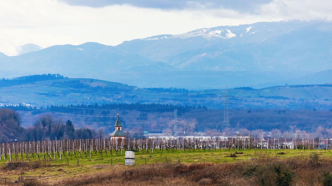 Wetterbericht: Wo im Südwesten schon bald mehr als 20 Grad winken