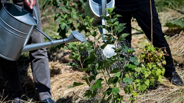 Wertvolle Flächen: Kleingärten sollen dauerhaft bleiben