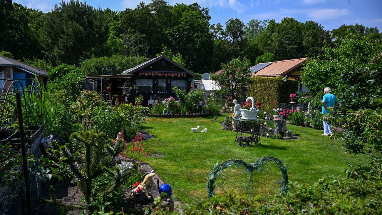 Wertvolle Flächen: Berliner Kleingärten sollen dauerhaft bleiben