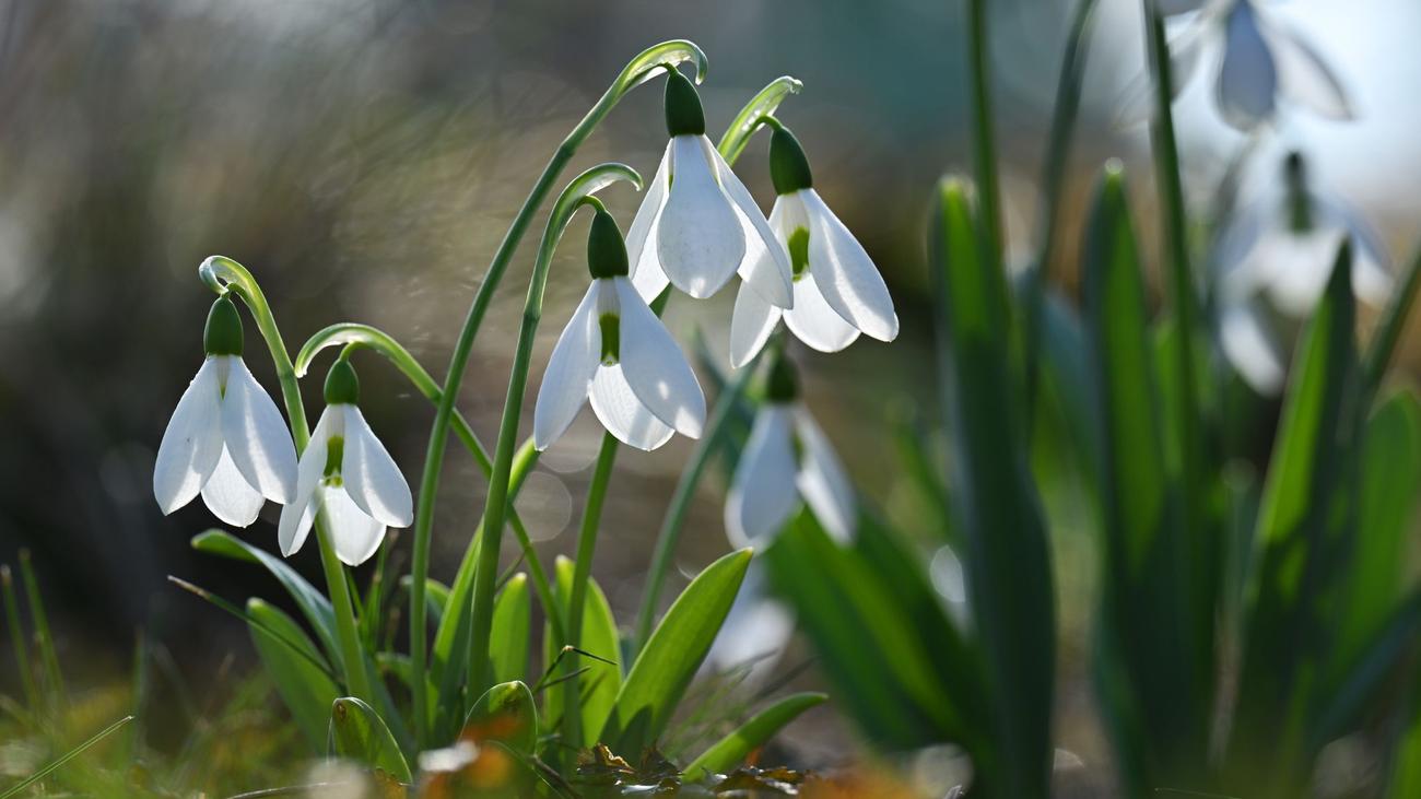 Wetter: 20 Grad plus und mehr am vorletzten Februartag in Thüringen