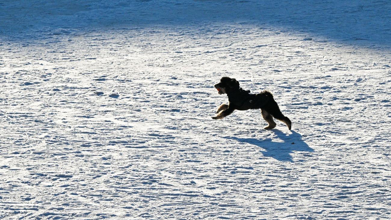 Wetter: Berlin hatte den schneereichsten Winter seit 2012