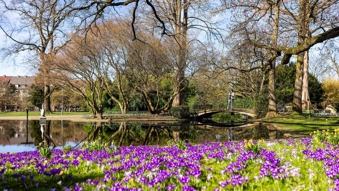 Wetterbericht: DWD erwartet bis zu 23 Grad – Februar-Allzeithoch in Sicht