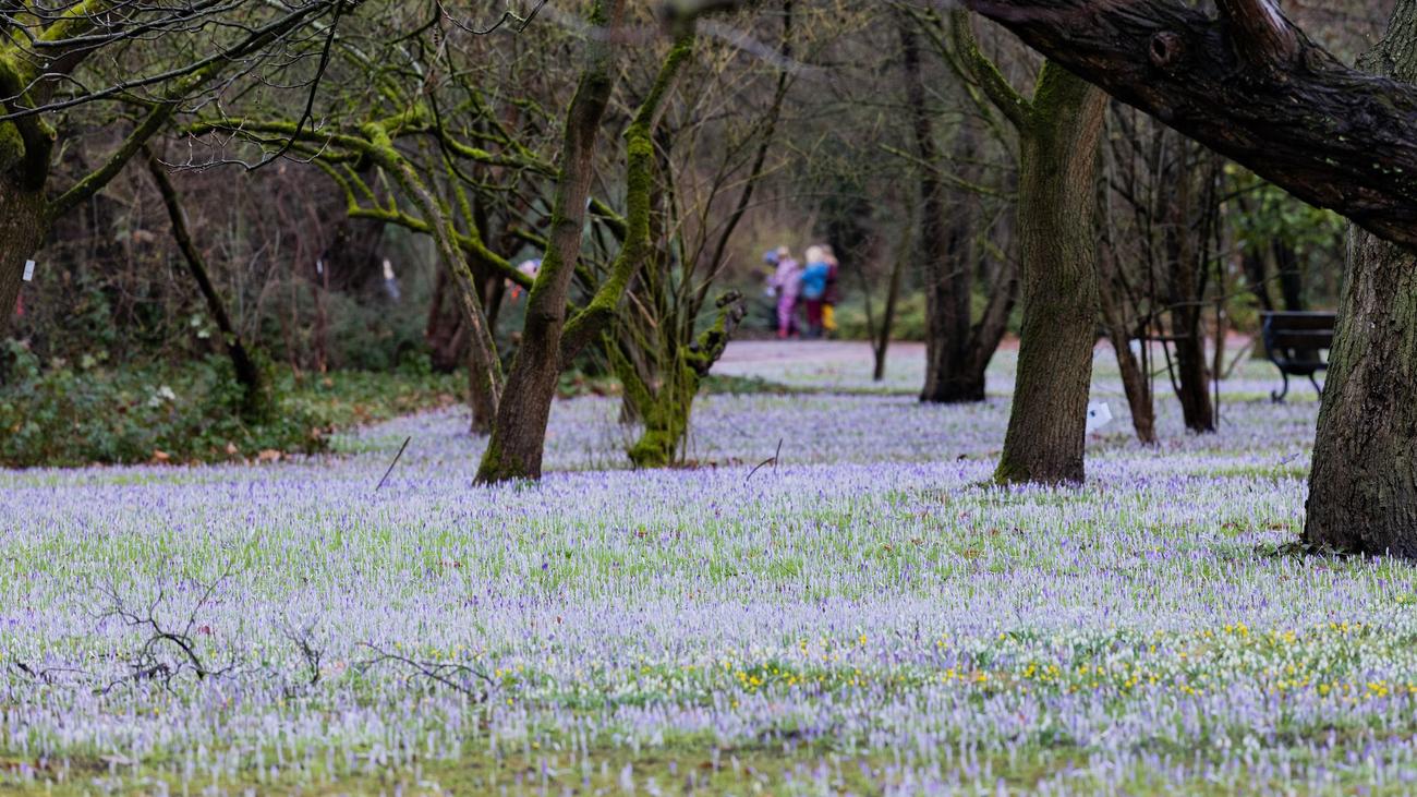 Wetter zum Ende der Woche: Wolken und zweistellige Werte in Nordrhein-Westfalen