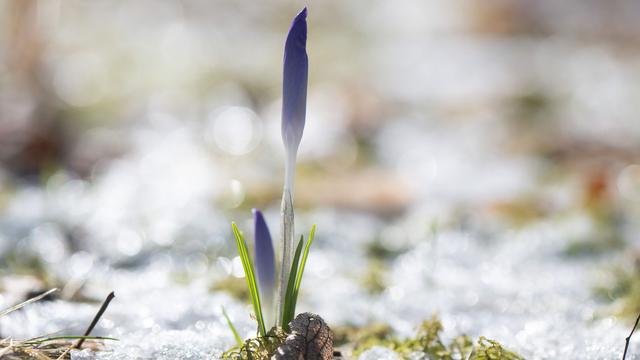 Winterwetter: Ziemlich trocken und sonnig - der Winter in Sachsen