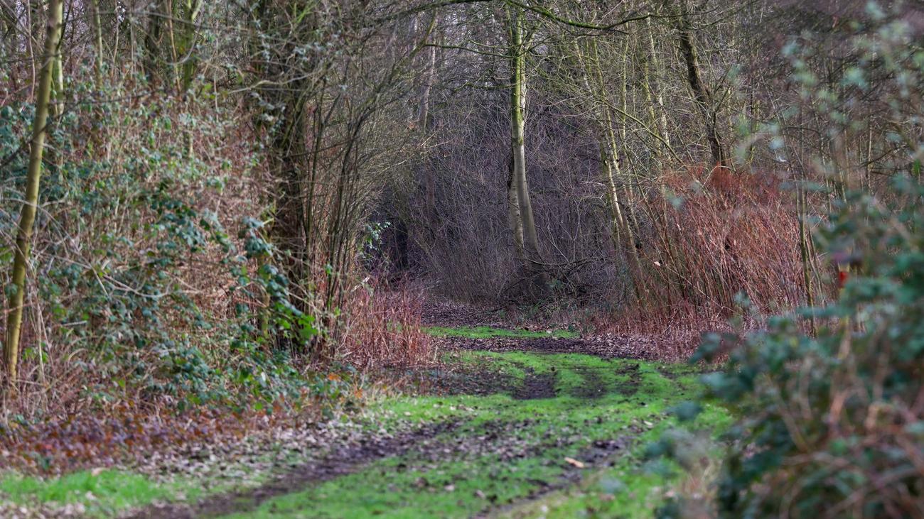 Fund einer Frauenleiche: Polizei Duisburg nimmt 23-Jährigen fest