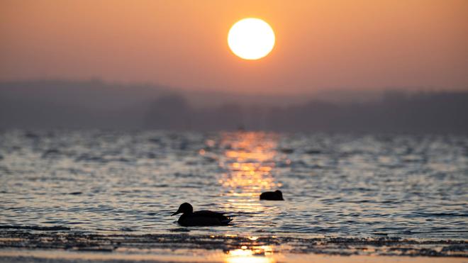 Wetter: Das Wetter bringt in Mecklenburg-Vorpommern am Wochenende Wolken, Regen und auch viel Sonne. (Symbolbild)