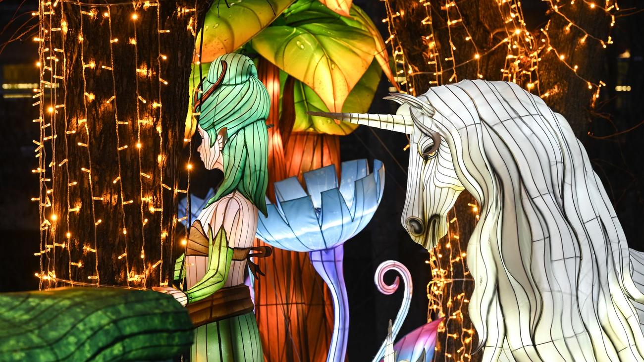 Einmalige Lichtshow: Magische Lichterwelten im Bergzoo Halle enden