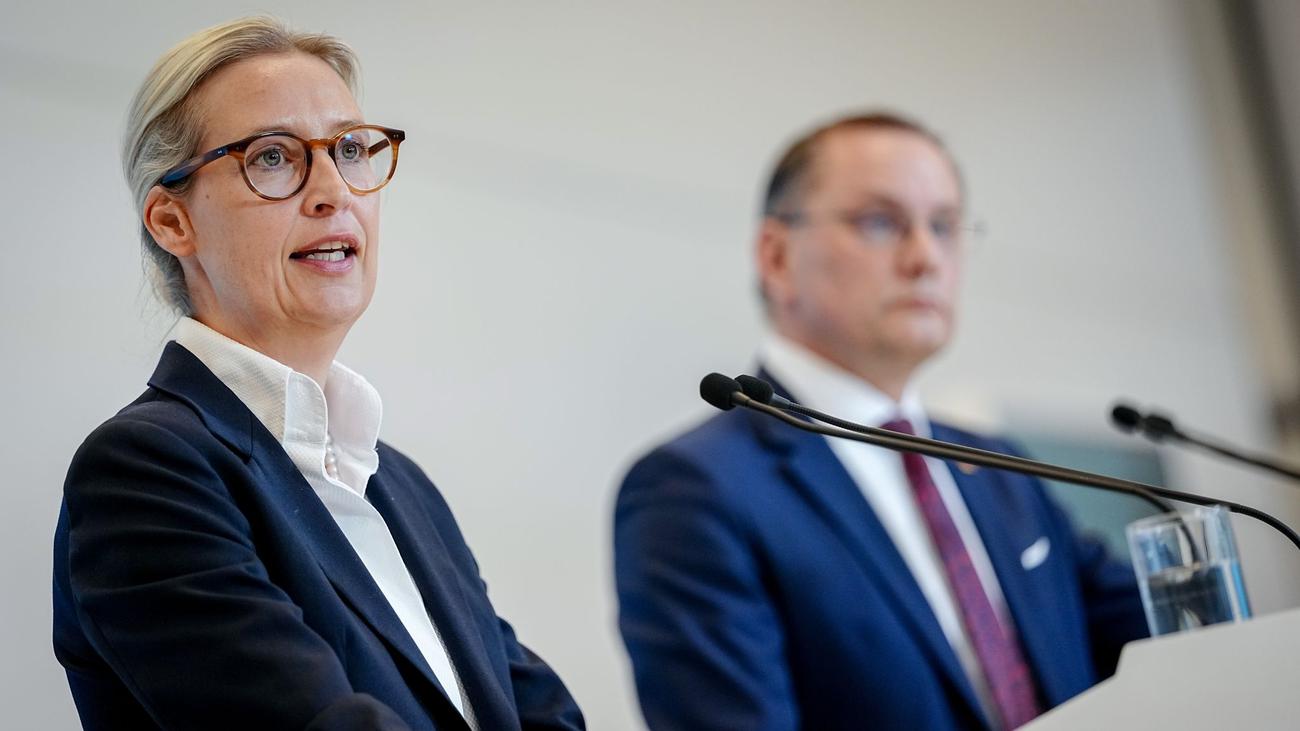 Verfassungsschutz: Keine Beschwerde gegen AfD-Entscheidung im Eilverfahren