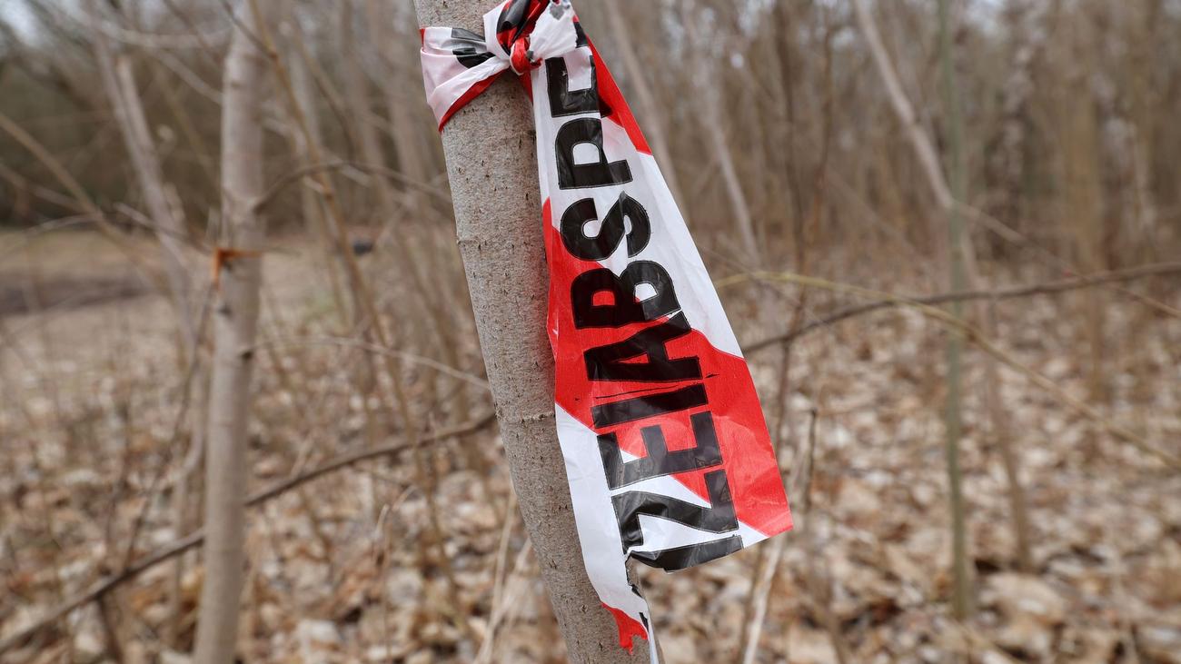 Kriminalität: Leiche in Eigenbau-Schubkarre gefunden - Mann festgenommen