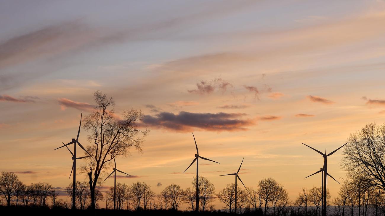Wettervorhersage: Sonnige Tage in Rheinland-Pfalz und dem Saarland erwartet