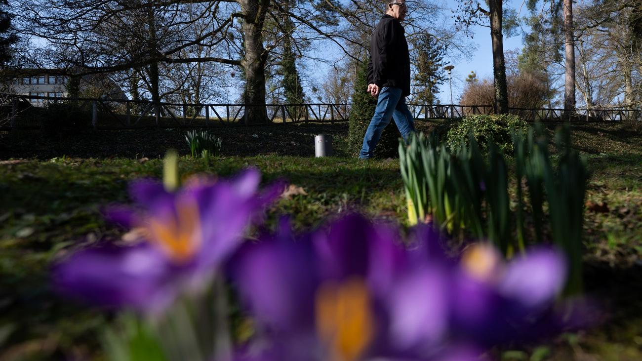 DWD-Prognose: Anhaltend mildes Wetter mit Sonne in Hessen