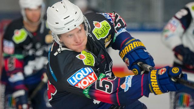 Eishockey: Eisbären beklagen weitere verletzte Spieler