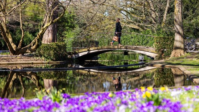 Wetter in Baden-Württemberg: Frühling hält Kurs - Hier lockt im Südwesten die Sonne