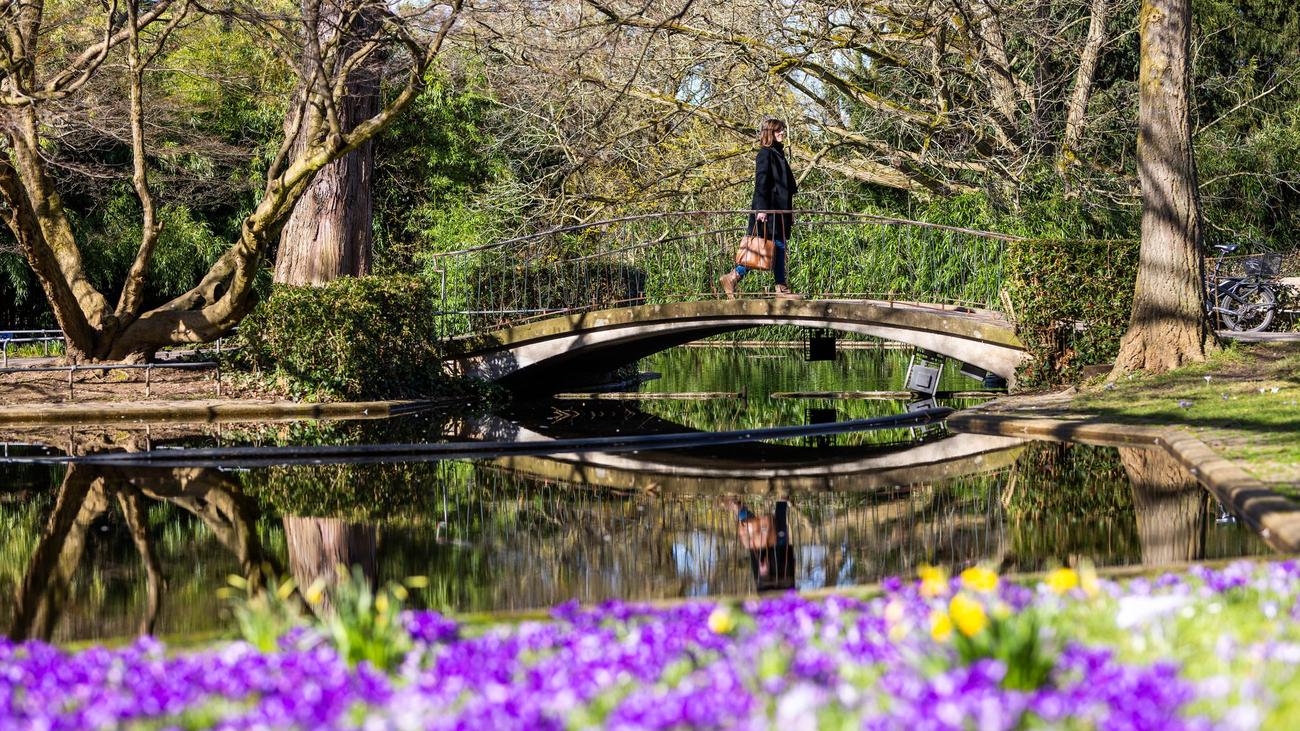 Wetter in Baden-Württemberg: Frühling hält Kurs - Hier lockt im Südwesten die Sonne